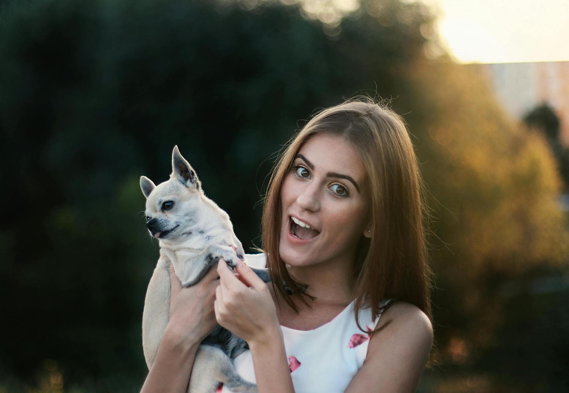 Specialist Vets in Tyne and Wear