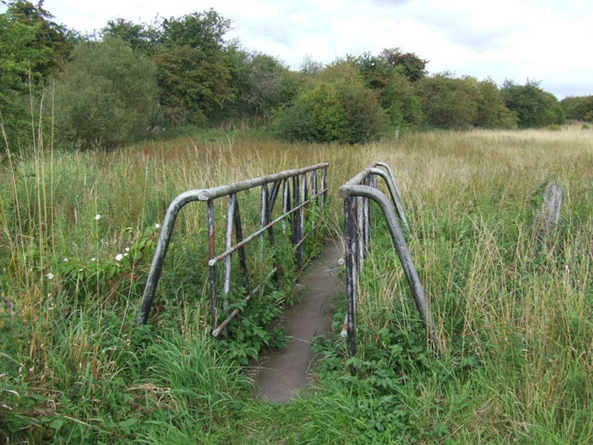 Vets in Houghton Le Spring